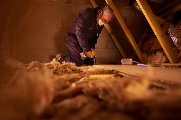 Best Insulation Maintenance and Repair in Bloomfield, IA